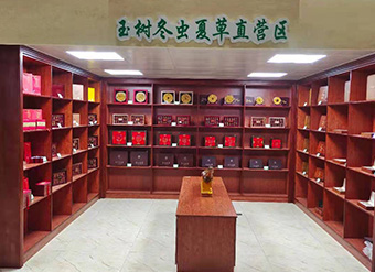 公司风采